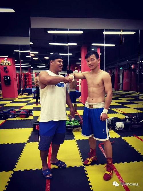 爆料拳击教练视频大全集,实战技巧与训练方法全解析