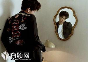 李易峰完整版爆料视频,揭秘明星幕后生活与心路历程