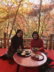 美味的相遇 在线观看,在线观看美食佳肴的视觉盛宴  第2张